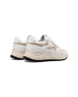 Sneakers QH10011 - QH7