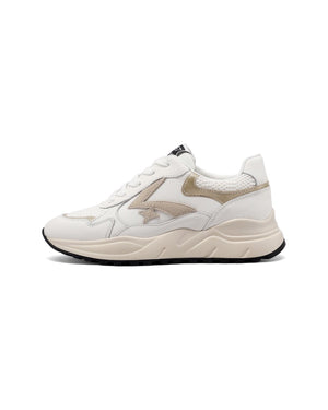 Sneakers QH10011 - QH7